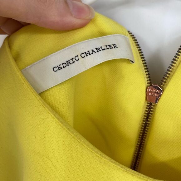 Cedric Charlier Canary Yellow Short Sleeve Blouse/Top, Size 10 - Picture 2 of 4